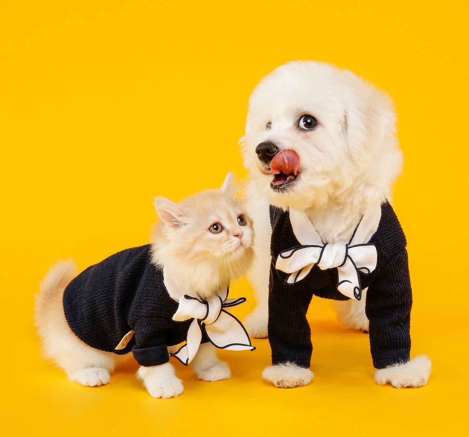 Pet Clothing